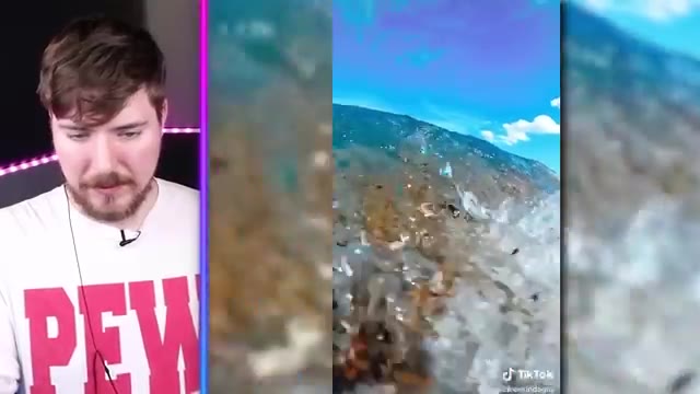 World's Most Viewed TikToks!