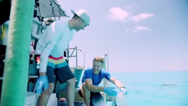 Testing if Sharks Can Smell a Drop of Blood