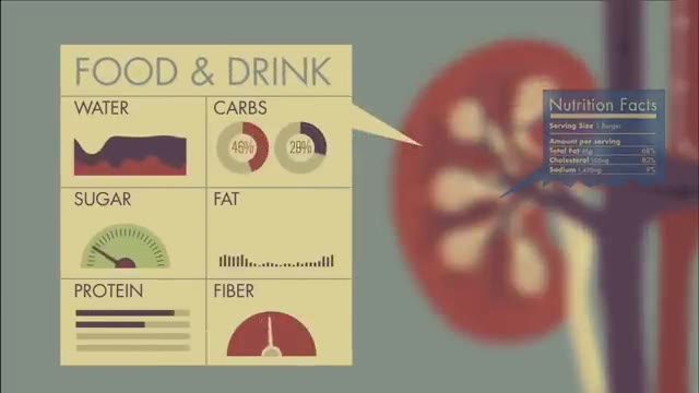 How do your kidneys work? - Emma Bryce