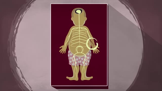 How does anesthesia work? - Steven Zheng
